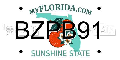 BZPB91 Florida License Plate
