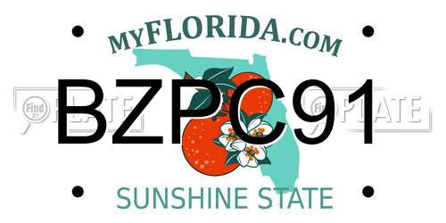 BZPC91 Florida License Plate