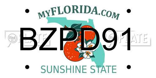 BZPD91 Florida License Plate