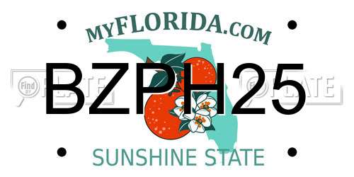 BZPH25 Florida License Plate