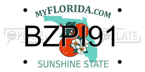 BZPI91 Florida License Plate