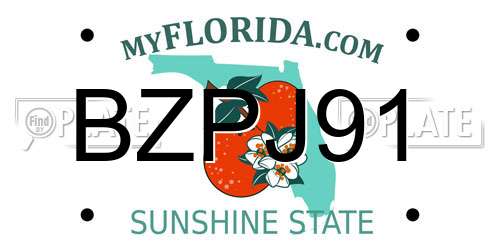 BZPJ91 Florida License Plate