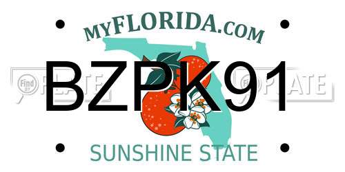 BZPK91 Florida License Plate