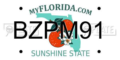 BZPM91 Florida License Plate