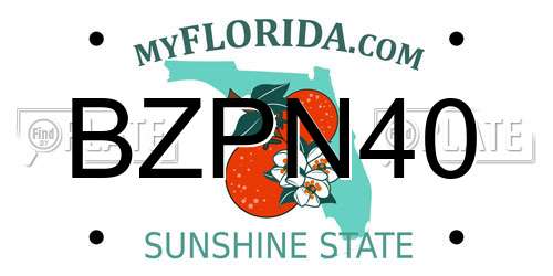 BZPN40 Florida License Plate