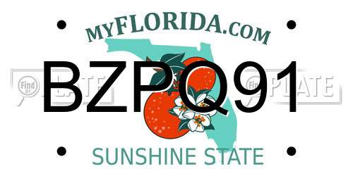 BZPQ91 Florida License Plate