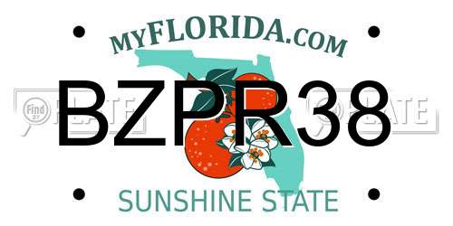 BZPR38 Florida License Plate