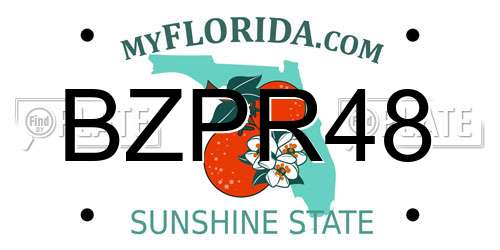 BZPR48 Florida License Plate