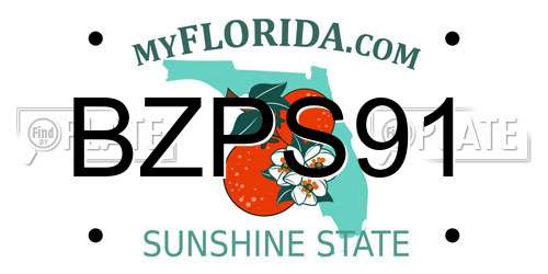 BZPS91 Florida License Plate