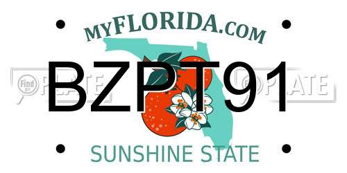 BZPT91 Florida License Plate
