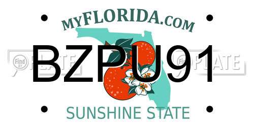 BZPU91 Florida License Plate