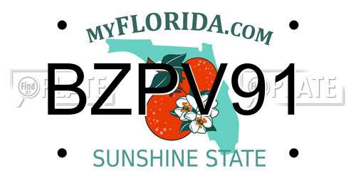 BZPV91 Florida License Plate