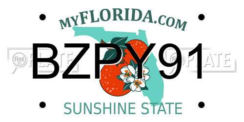 BZPY91 Florida License Plate