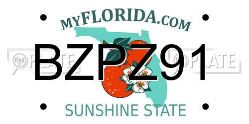 BZPZ91 Florida License Plate