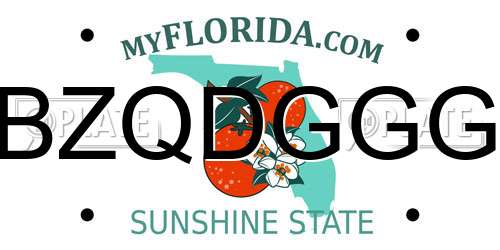 BZQDGGG Florida License Plate