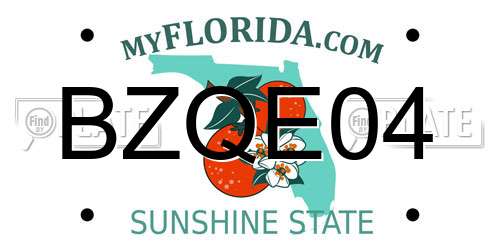 BZQE04 Florida License Plate