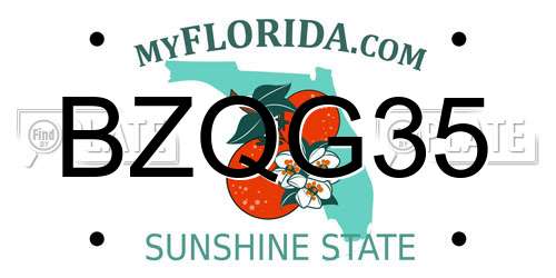 BZQG35 Florida License Plate