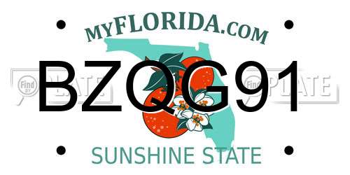 BZQG91 Florida License Plate