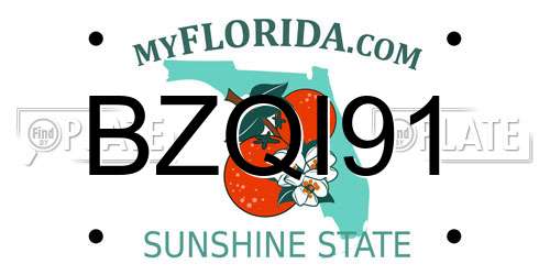 BZQI91 Florida License Plate