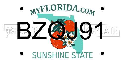 BZQJ91 Florida License Plate