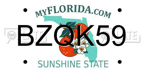 BZQK59 Florida License Plate