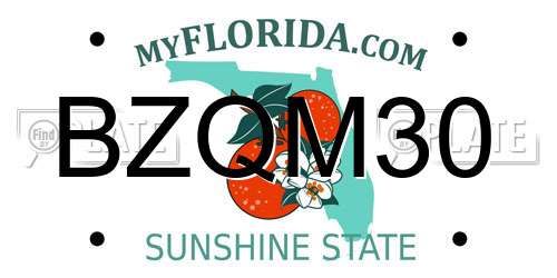 BZQM30 Florida License Plate