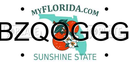 BZQOGGG Florida License Plate