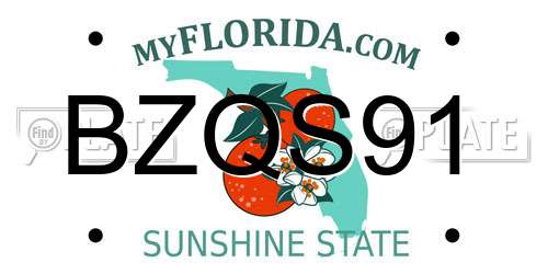 BZQS91 Florida License Plate