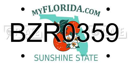 BZR0359 Florida License Plate