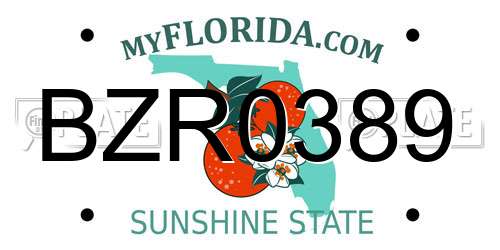 BZR0389 Florida License Plate