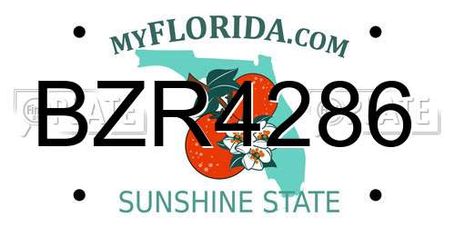 BZR4286 Florida License Plate