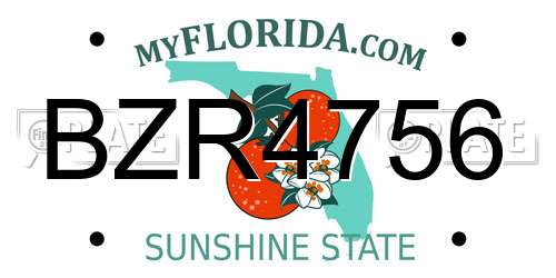 BZR4756 Florida License Plate