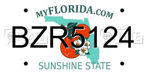 BZR5124 Florida License Plate