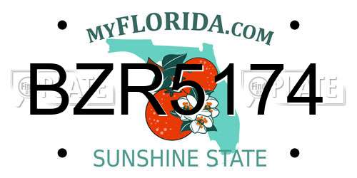 BZR5174 Florida License Plate