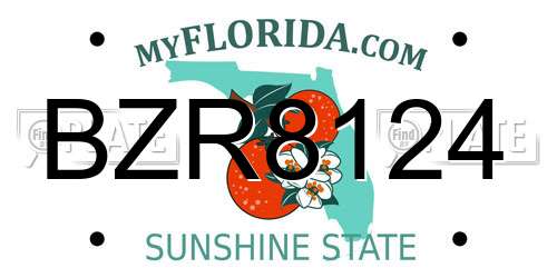 BZR8124 Florida License Plate