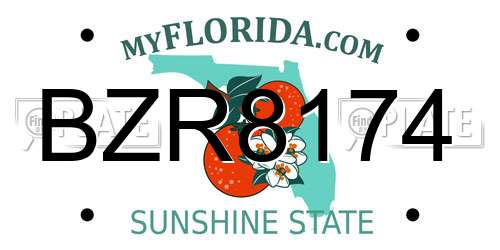 BZR8174 Florida License Plate