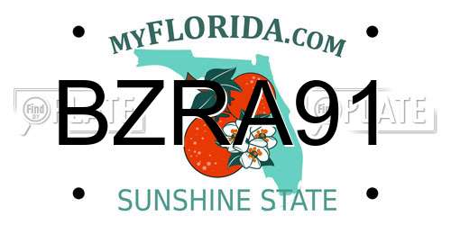 BZRA91 Florida License Plate