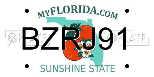 BZRJ91 Florida License Plate