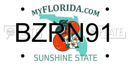 BZRN91 Florida License Plate