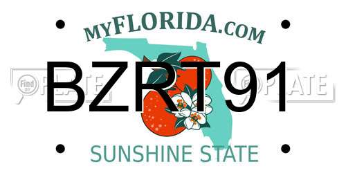 BZRT91 Florida License Plate
