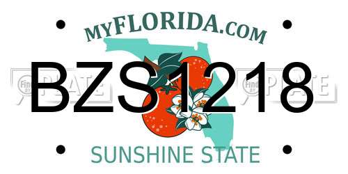 BZS1218 Florida License Plate