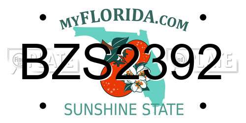 BZS2392 Florida License Plate