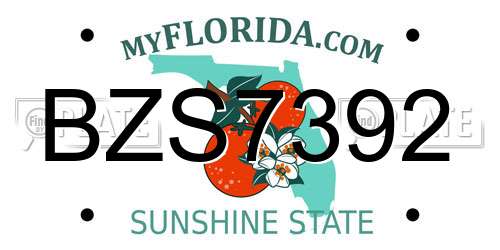 BZS7392 Florida License Plate