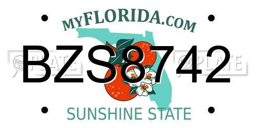 BZS8742 Florida License Plate