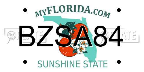 BZSA84 Florida License Plate