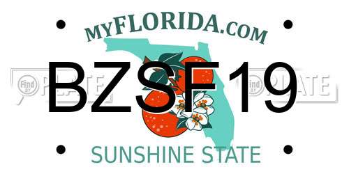 BZSF19 Florida License Plate