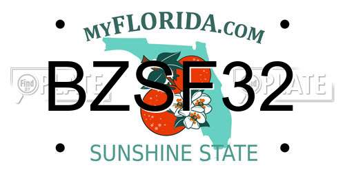 BZSF32 Florida License Plate