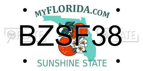 BZSF38 Florida License Plate