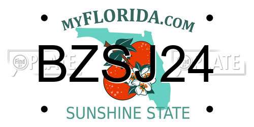 BZSJ24 Florida License Plate