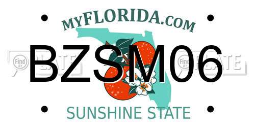 BZSM06 Florida License Plate